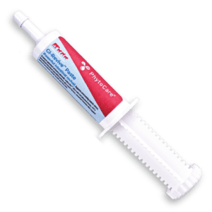 PhytoCare GI-Revive 60ml intestinal paste tube with ridged applicator